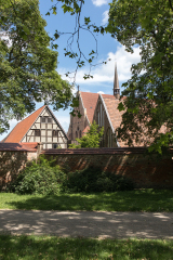 wcb_Artemis_008