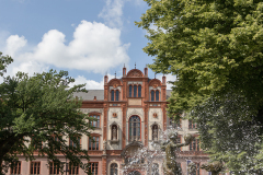 wcb_Artemis_014