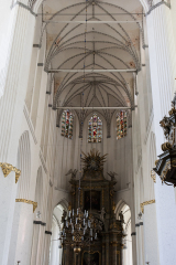 wcb_Artemis_015