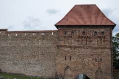 wcb_Artemis_039