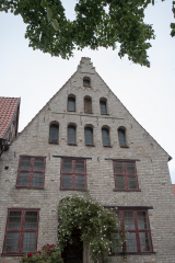 wcb_Artemis_041