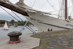 wcb_Artemis_048