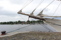wcb_Artemis_049