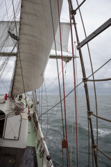 wcb_Artemis_051