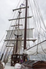 wcb_Artemis_060