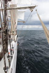 wcb_Artemis_062