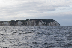 wcb_Artemis_071