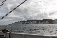 wcb_Artemis_074