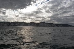wcb_Artemis_075