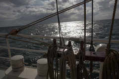 wcb_Artemis_076