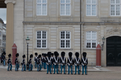wcb_Artemis_104