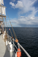 wcb_Artemis_130