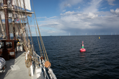 wcb_Artemis_131