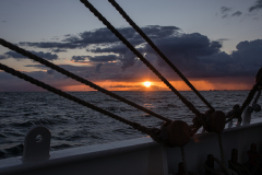 wcb_Artemis_134