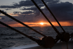 wcb_Artemis_135