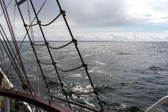 wcb_Artemis_136