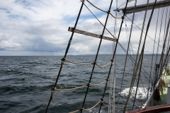 wcb_Artemis_137