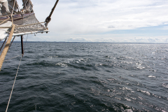 wcb_Artemis_141