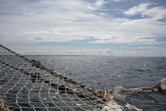 wcb_Artemis_142
