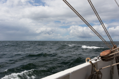 wcb_Artemis_148