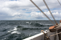 wcb_Artemis_149