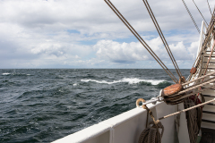 wcb_Artemis_151