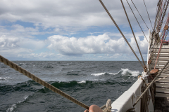 wcb_Artemis_152