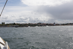 wcb_Artemis_158