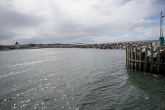 wcb_Artemis_159