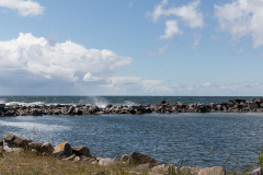 wcb_Artemis_164