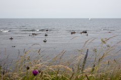 wcb_Artemis_176