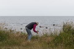 wcb_Artemis_179