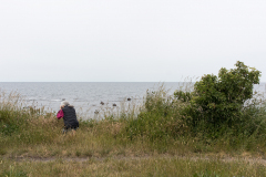 wcb_Artemis_180