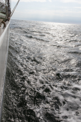 wcb_Artemis_189