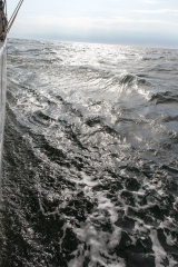 wcb_Artemis_191