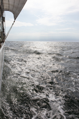 wcb_Artemis_192