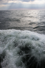 wcb_Artemis_199