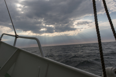 wcb_Artemis_200