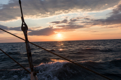 wcb_Artemis_202