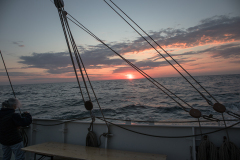 wcb_Artemis_203