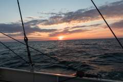wcb_Artemis_204