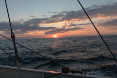 wcb_Artemis_205