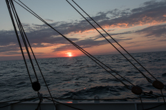 wcb_Artemis_206