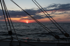 wcb_Artemis_207