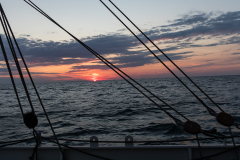 wcb_Artemis_208