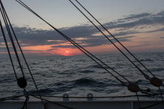 wcb_Artemis_209