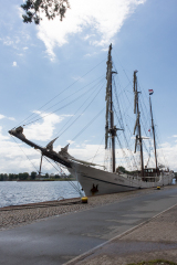 wcb_Artemis_212