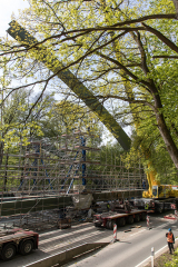 68_BrueckeNi_einpassen