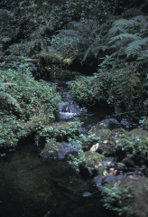 Kilimanjaro - Aufstieg
