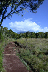 Kilimanjaro - Aufstieg
